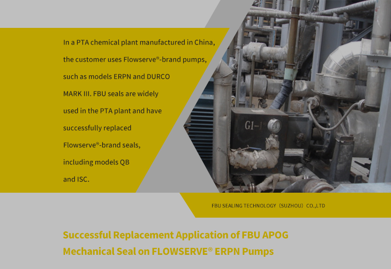 Seal for Flowserve® ERPN