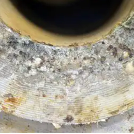 Mechanical Seal Leaks? A Practical Guide to Seal Face Wear Diagnosis and Solutions