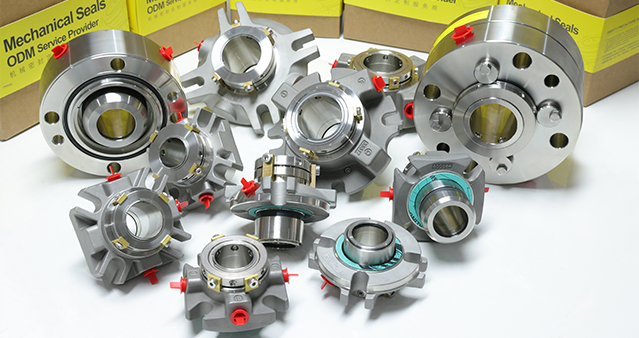 professional Mechanical Seal manufacturer