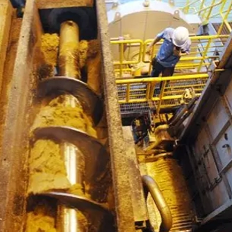 How To Prevent Mechanical Seal Failures in High-Viscosity Sugar & Ethanol Processing?